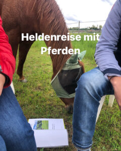 Zwei Menschen sitzen auf Stühlen auf der Wiese im Hintergrund liegt ein Skript und grast ein fuchsfarbenes Pferd.