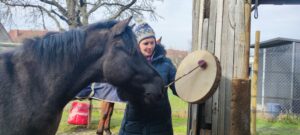 Pferd das Frau beim trommeln beobachtet