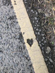 Herz in Strassenstreifen