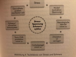 Stress und Schmerz